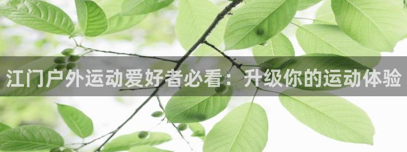尊龙新版app