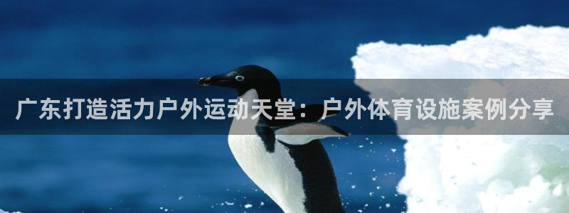 尊龙官方网站最新版V9.3.06