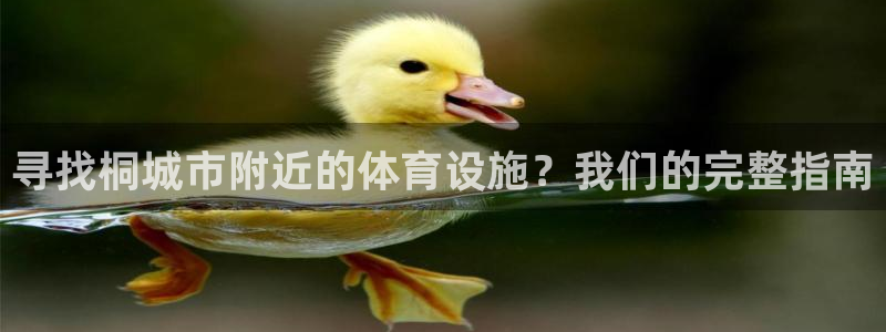 尊龙凯时白家乐Abb下载