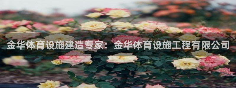 尊龙官方