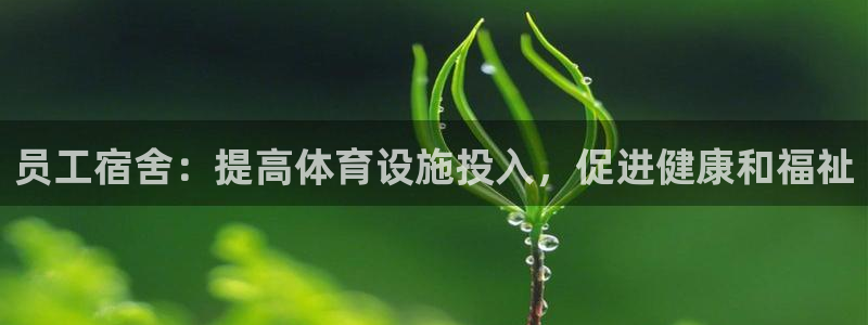 z6com尊龙凯时百家乐