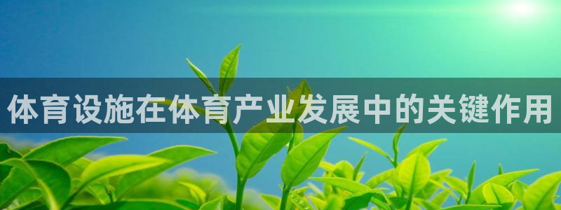 凯时国际娱乐官方网址
