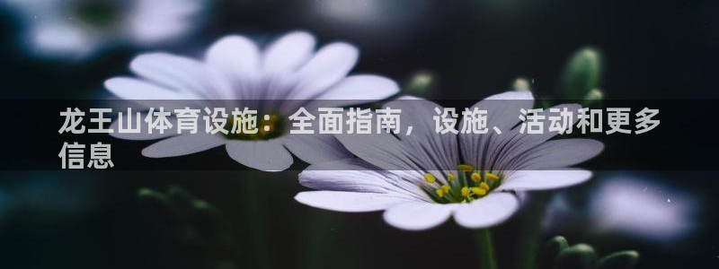 尊龙集团有限公司是国企吗