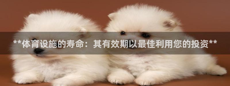 尊龙版末代皇帝