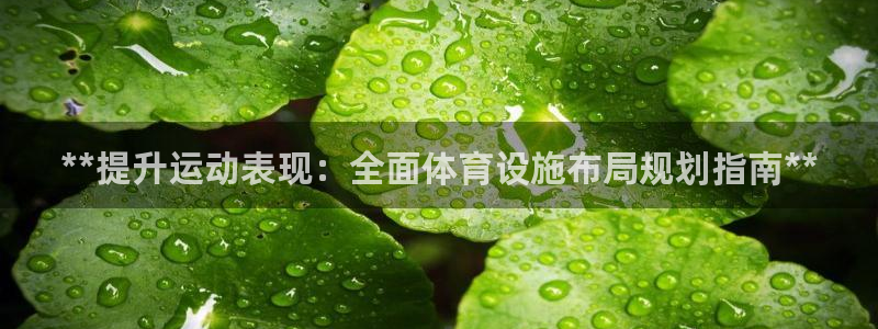 旧版尊龙人生就是博下载