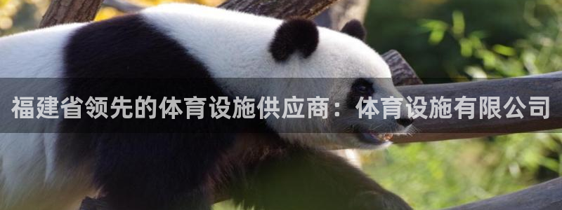 尊龙凯时城娱乐