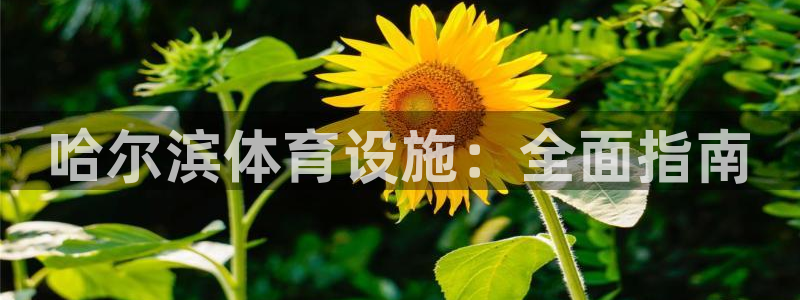 ag尊龙凯时集团