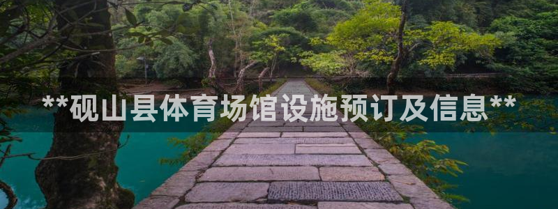 尊龙官网网页版
