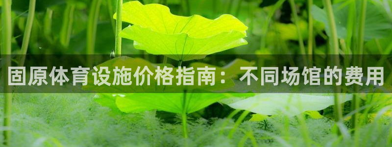 尊龙凯时人生就博官网登录