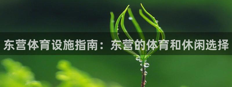 尊龙t300和t400哪个好