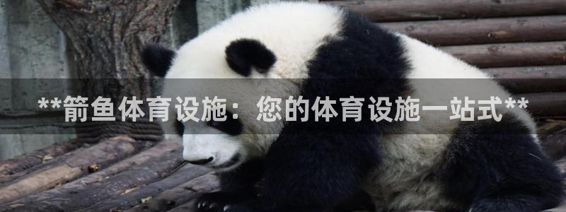 尊龙凯时vip