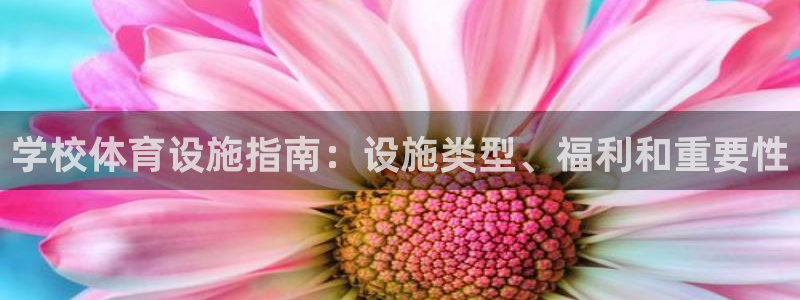 凯时国际app首页登录入口