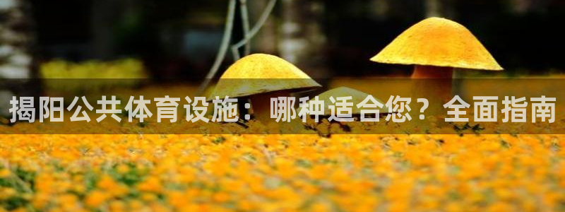 尊龙实业有限公司是正规还是仿