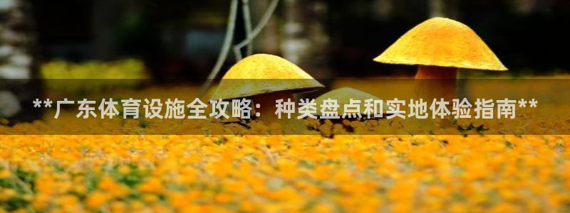 尊龙d88平台版下载