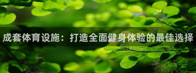 尊龙人生就是博旧版