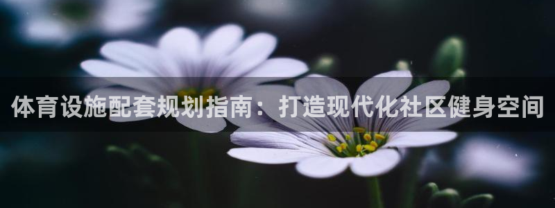尊龙凯时