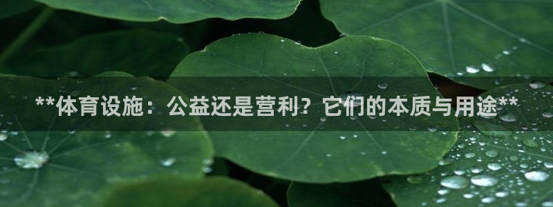尊龙凯时取钱很慢