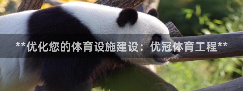 KB88凯时官网登录