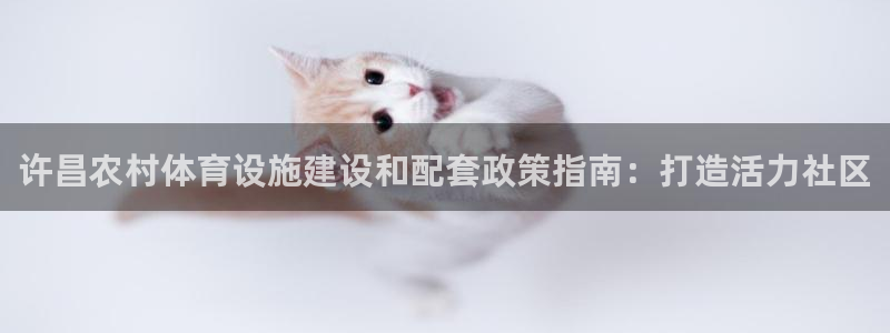 尊龙凯时产品系列