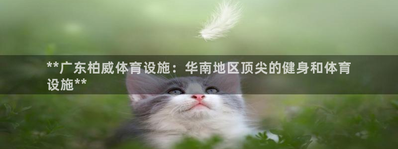 尊龙凯时怎么样没听说过