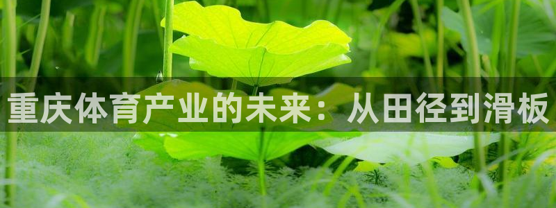 尊龙凯时推荐人