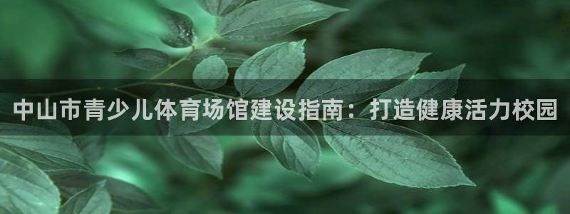 尊龙实业 吴友良