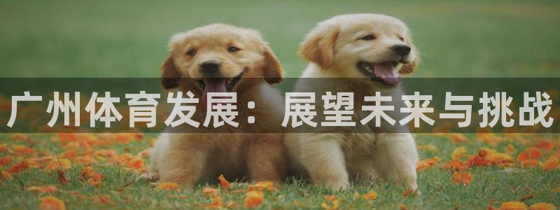 尊龙凯时人生就是搏!官网