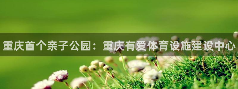 尊龙凯时口碑好吗