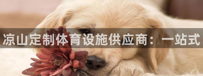 凯时游戏官方网站