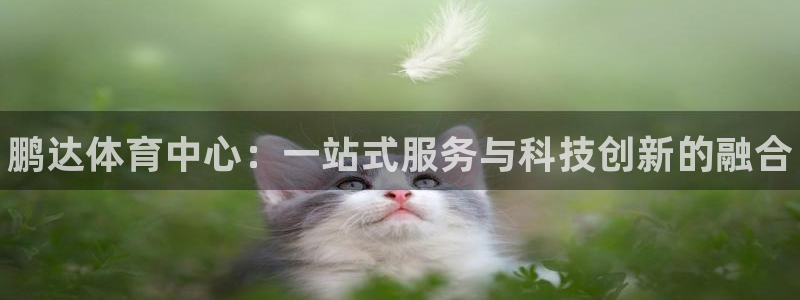 尊龙是什么软件