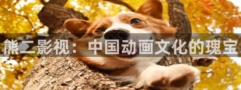 即看影视app：熊二影视：中国动画文化的瑰宝