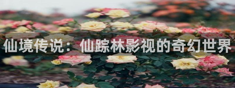 即看影视网站：仙境传说：仙踪林影视的奇幻世界