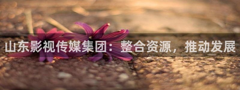 即看影视app敢注册吗安全吗：山东影视传媒集团：整合资源，推动发展