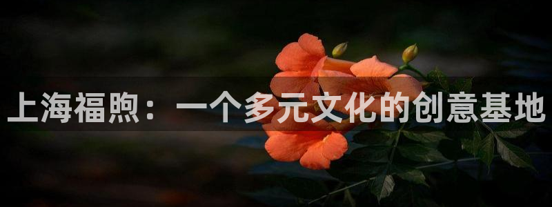 即看影视app敢注册吗安全吗：上海福煦：一个多元文化的创意基地
