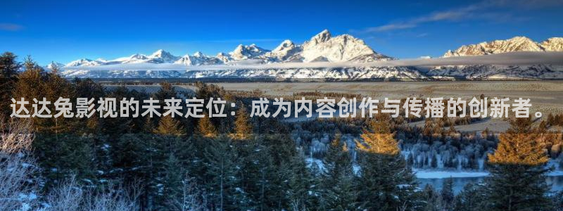 即看影视电脑版：达达兔影视的未来定位：成为内容创作与传播的创新者。