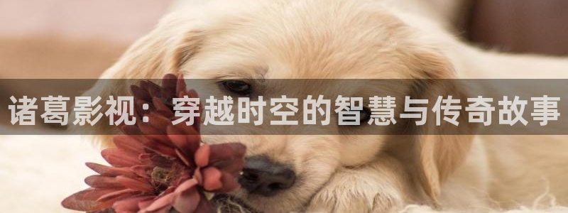 即看影视网页版：诸葛影视：穿越时空的智慧与传奇故事