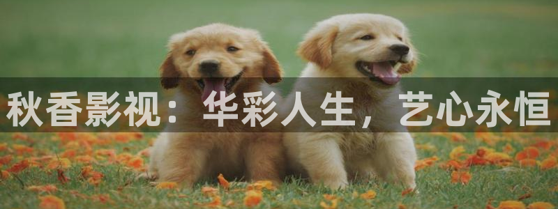 即看影视官方网站：秋香影视：华彩人生，艺心永恒