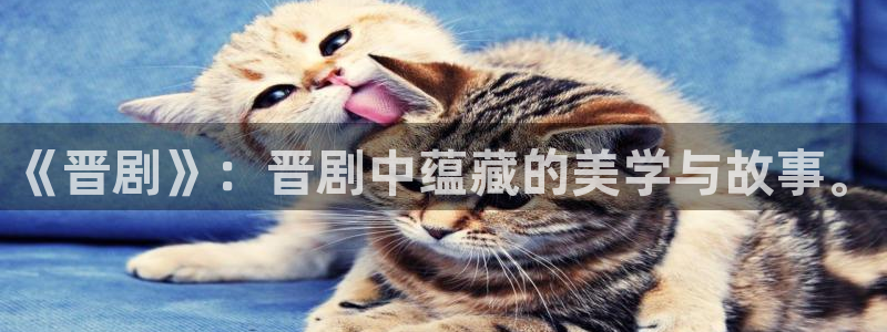 即看影视官方网站：《晋剧》：晋剧中蕴藏的美学与故事。